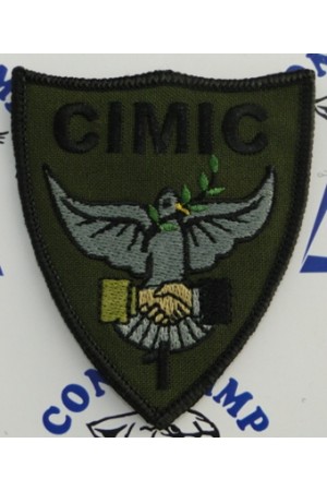 Emblema Batalion 1 CIMIC instructie